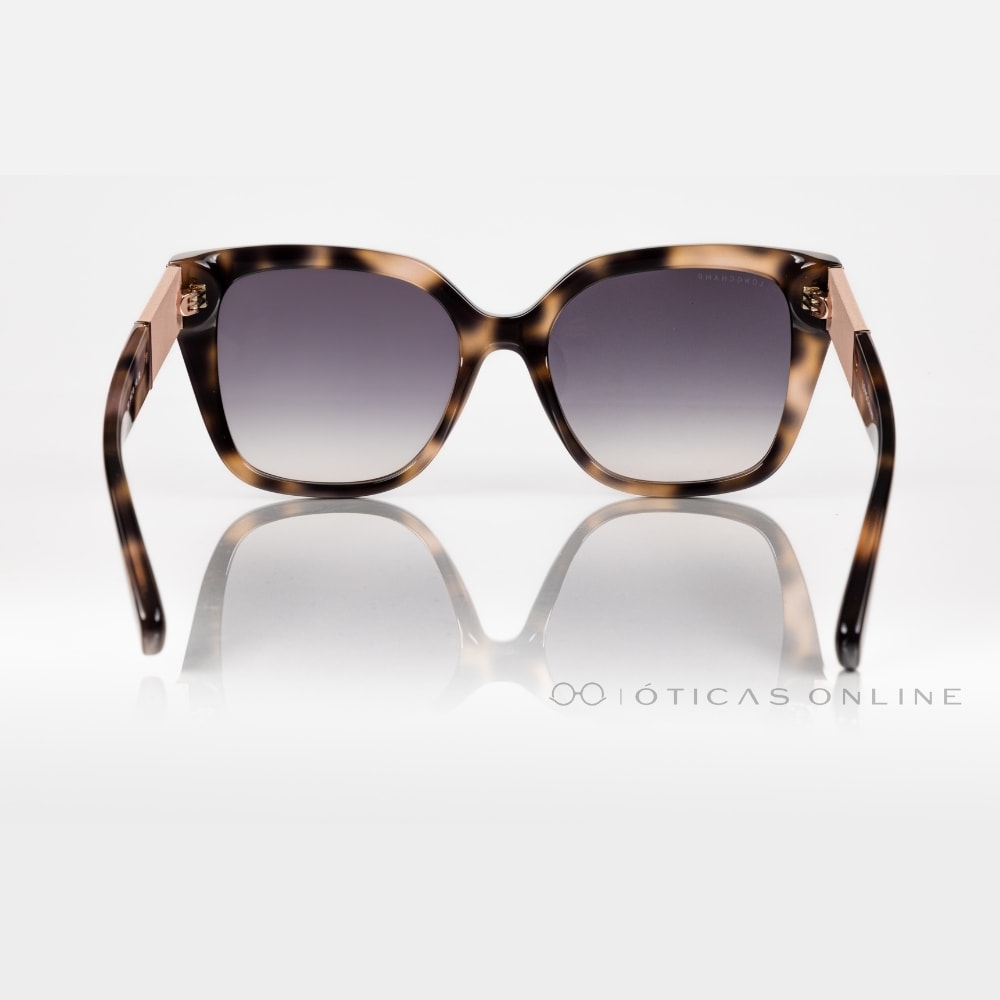 image_c8f13615-2d5b-4fda-af67-5a162f4617d6