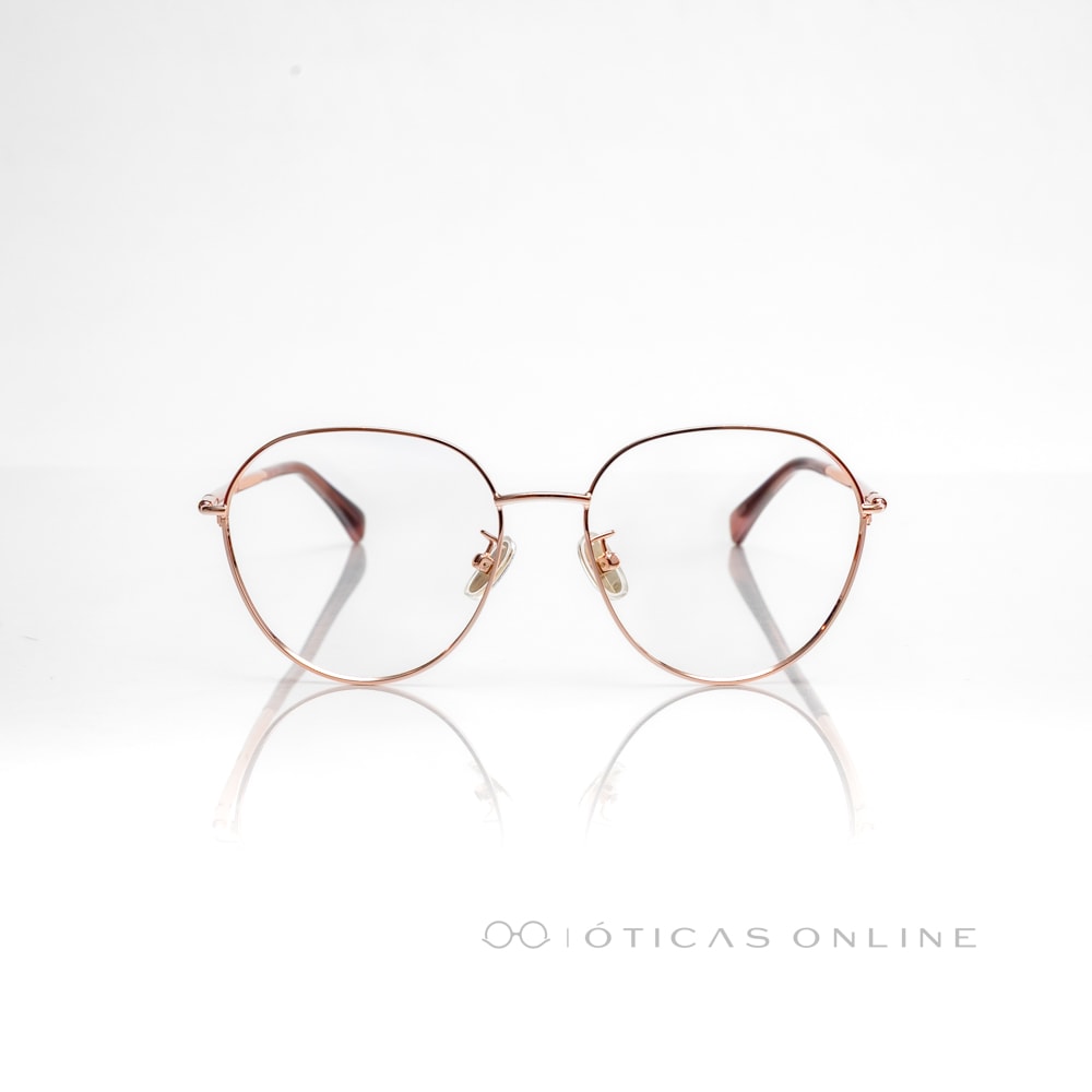 image_c9654b12-c99d-41e6-859e-d25bf5e7b904