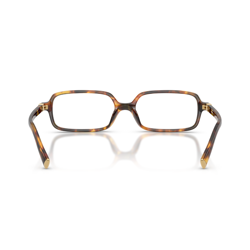 image_d61da3b9-1aba-450a-9b08-f4258e40529d