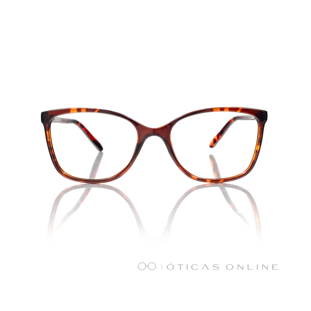 image_2869e585-2f8f-4d8f-97d2-2be10e027f03