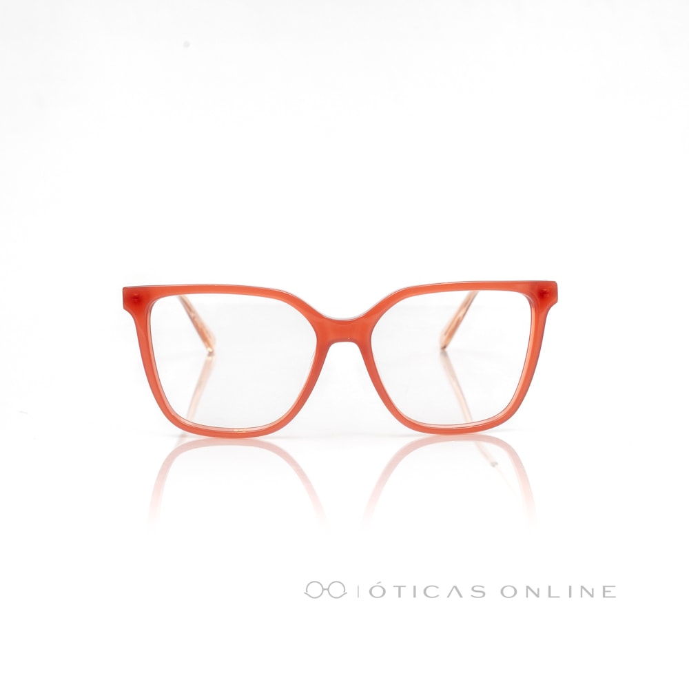 image_502fb7b0-caee-4df2-81a3-34571c15707f