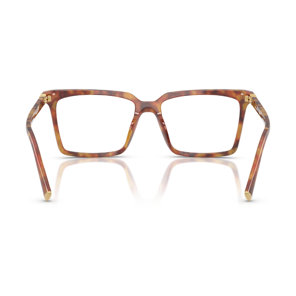 image_2196d9ee-c886-4afc-a765-cf5d5e134596