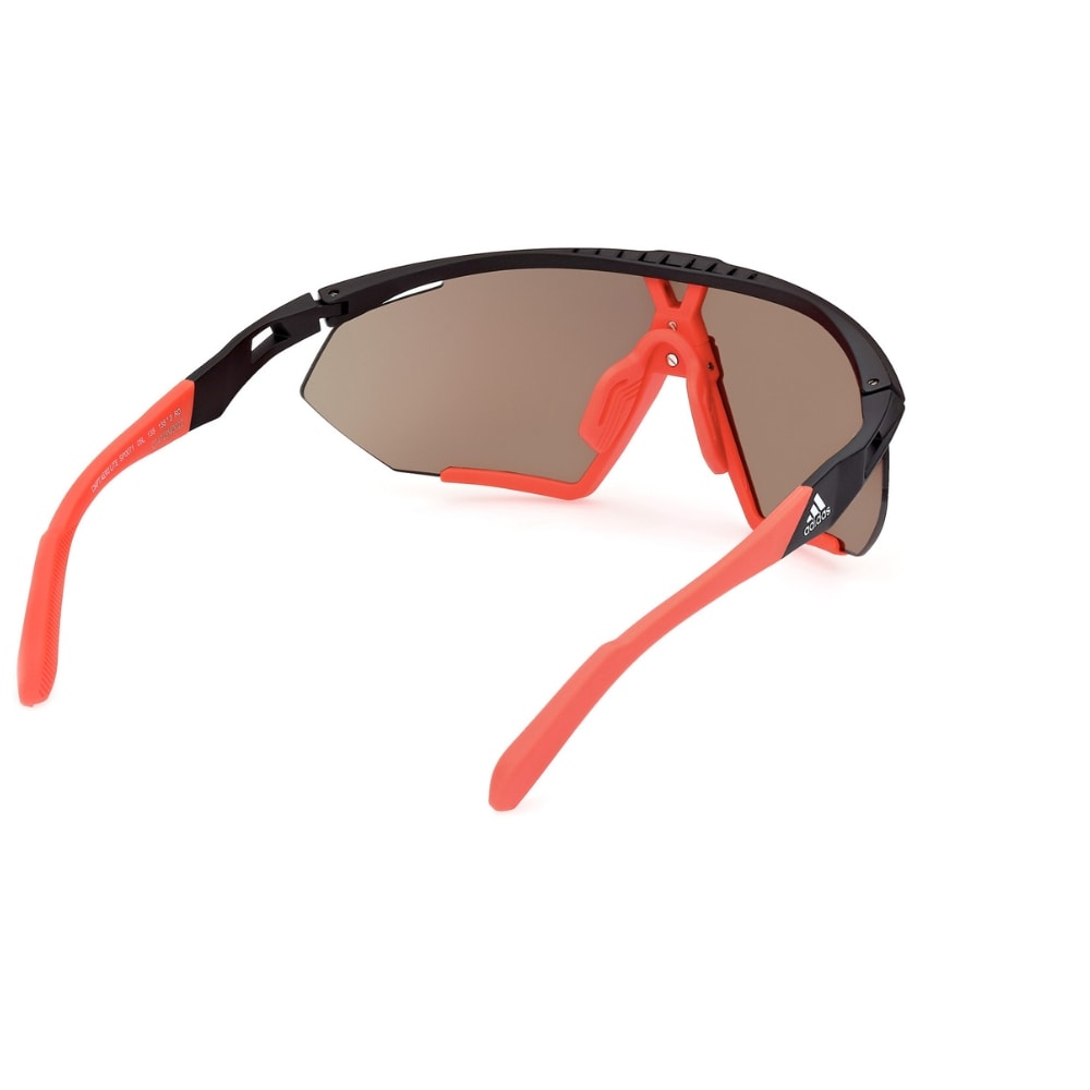 image_419e3ffc-eedf-43bb-bf1a-0f0a0388717e