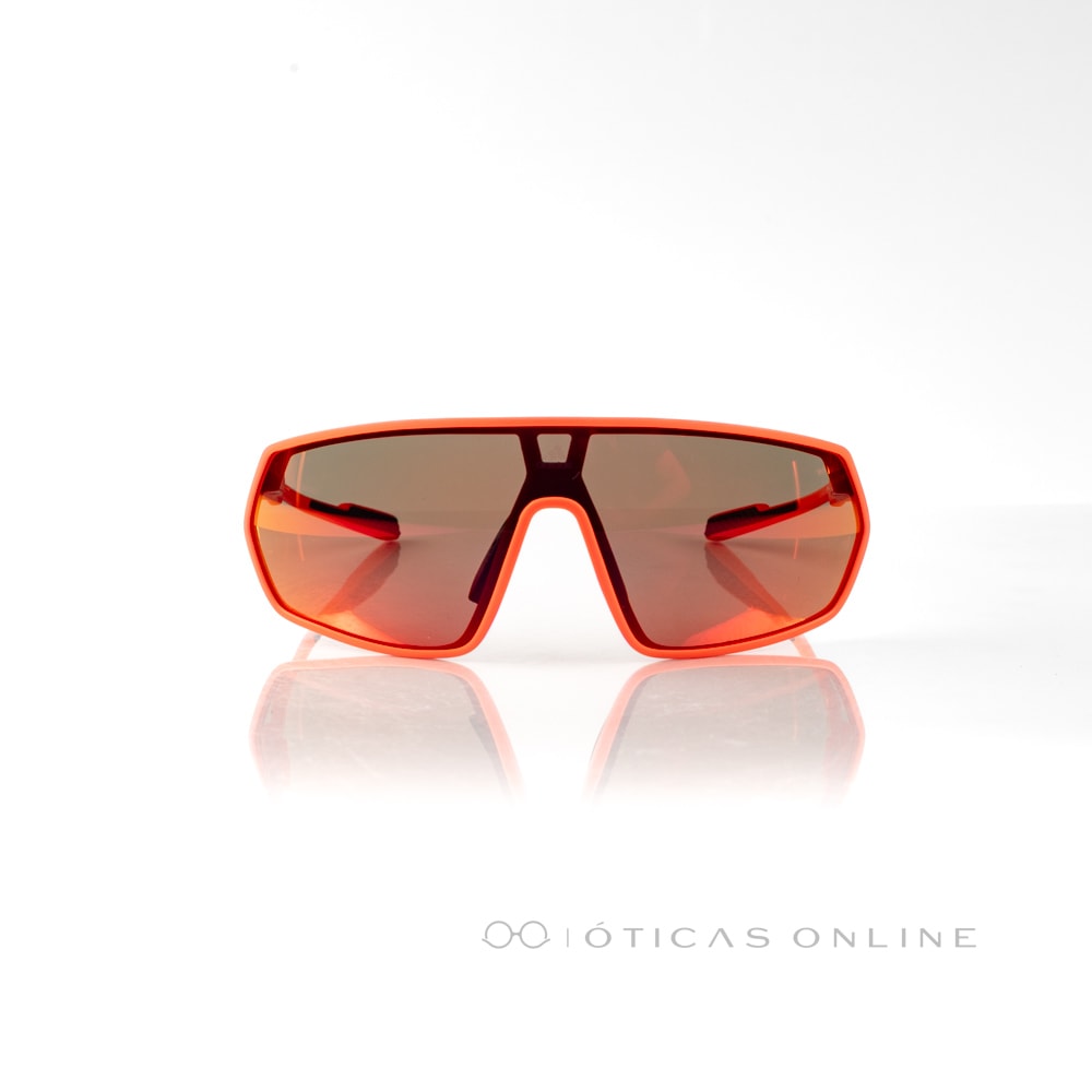 image_222569c7-c39a-4c60-97aa-fa60b330bb53