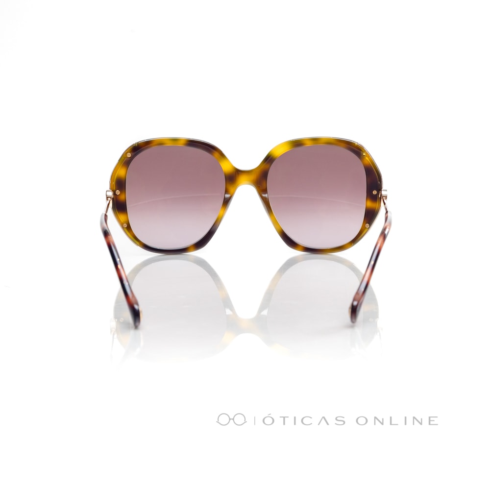 image_c3056eed-ce25-42b9-9bc0-20e7eecbfbee