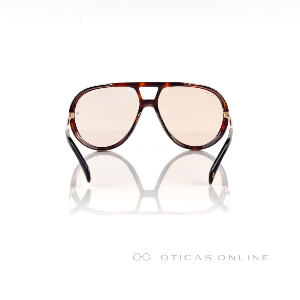 image_e393b61d-fdf0-46bb-a670-4e47b0fe2cdc