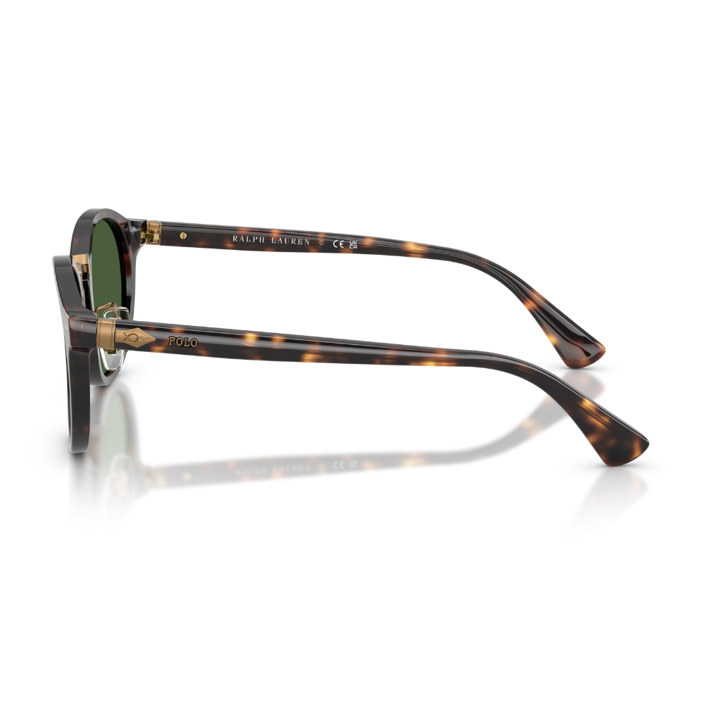 image_309147a8-c826-4a08-bec0-a84d400f8443