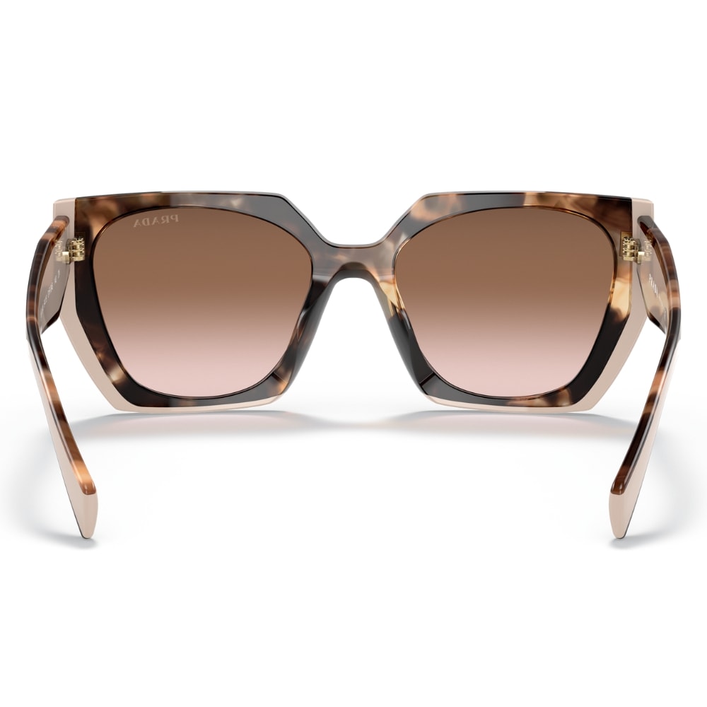 image_85c48b11-59df-4bec-a18e-3ddb4e983452