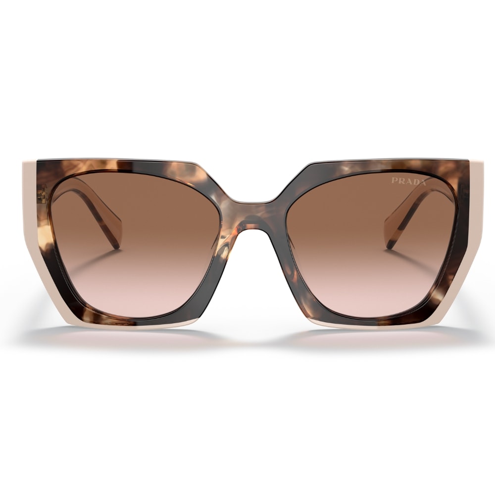 image_03cee3ce-5d9e-4baf-b7a5-ab33cb70e6d7