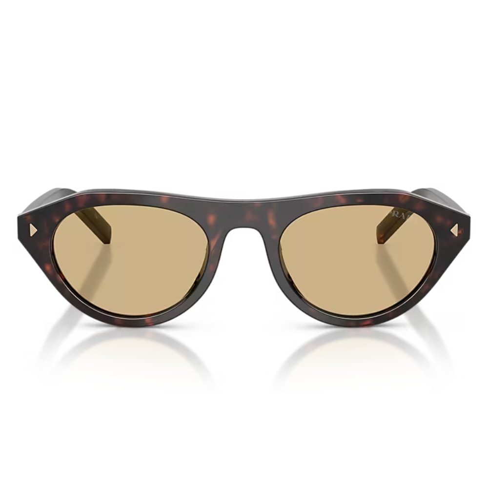 image_82b30b68-016b-4292-9a5b-93b26f9bb5f8