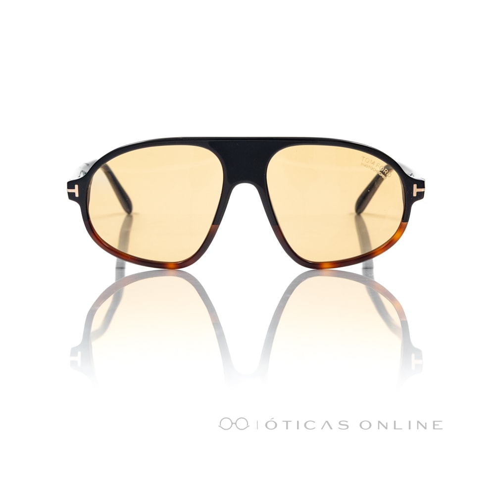 image_a06f2293-375d-4315-a3ef-e97f7b655c5b