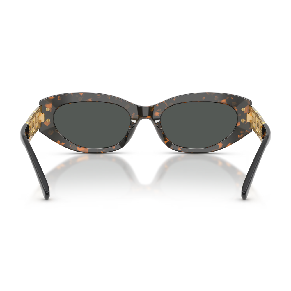 image_16f01577-f69e-47c4-a3e2-abfd773af966