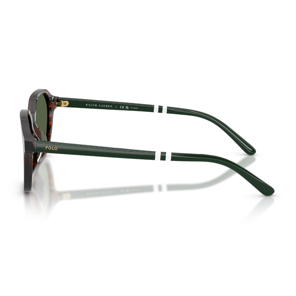 image_983112fc-2310-45d2-967e-523299fd5912