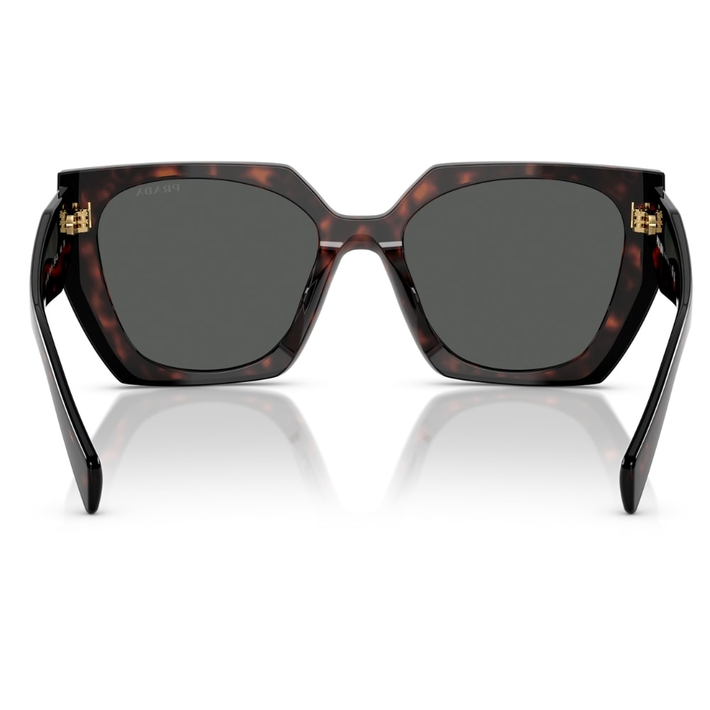 image_d62e4907-de11-4c76-97c9-5562c1f6d994