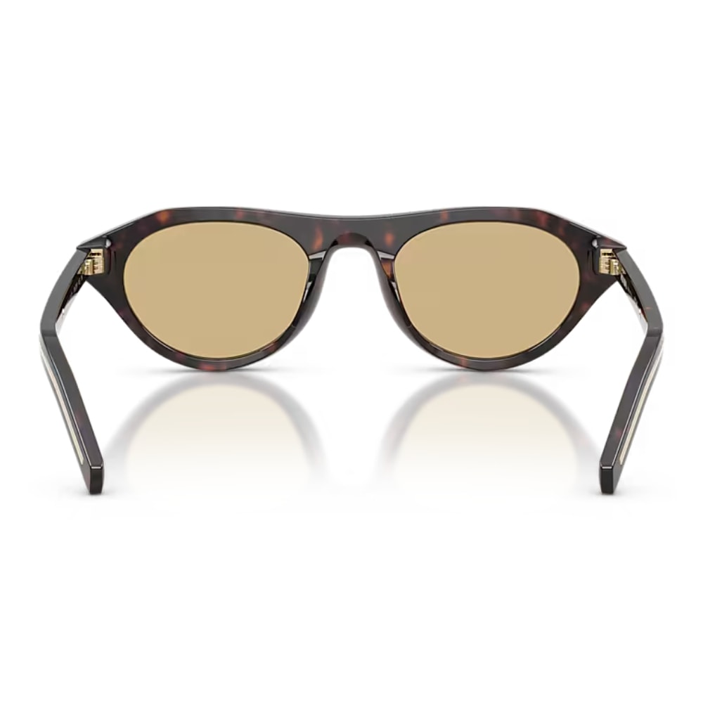 image_c84f07dc-3570-43c9-89fc-6c230246d8f8