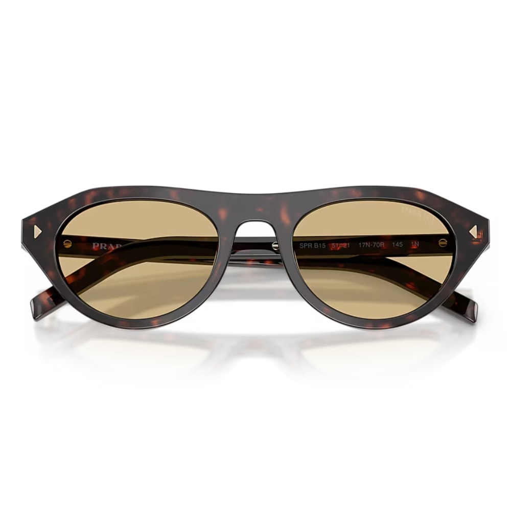 image_e184d4e5-1c78-4379-952a-bb782f851dca