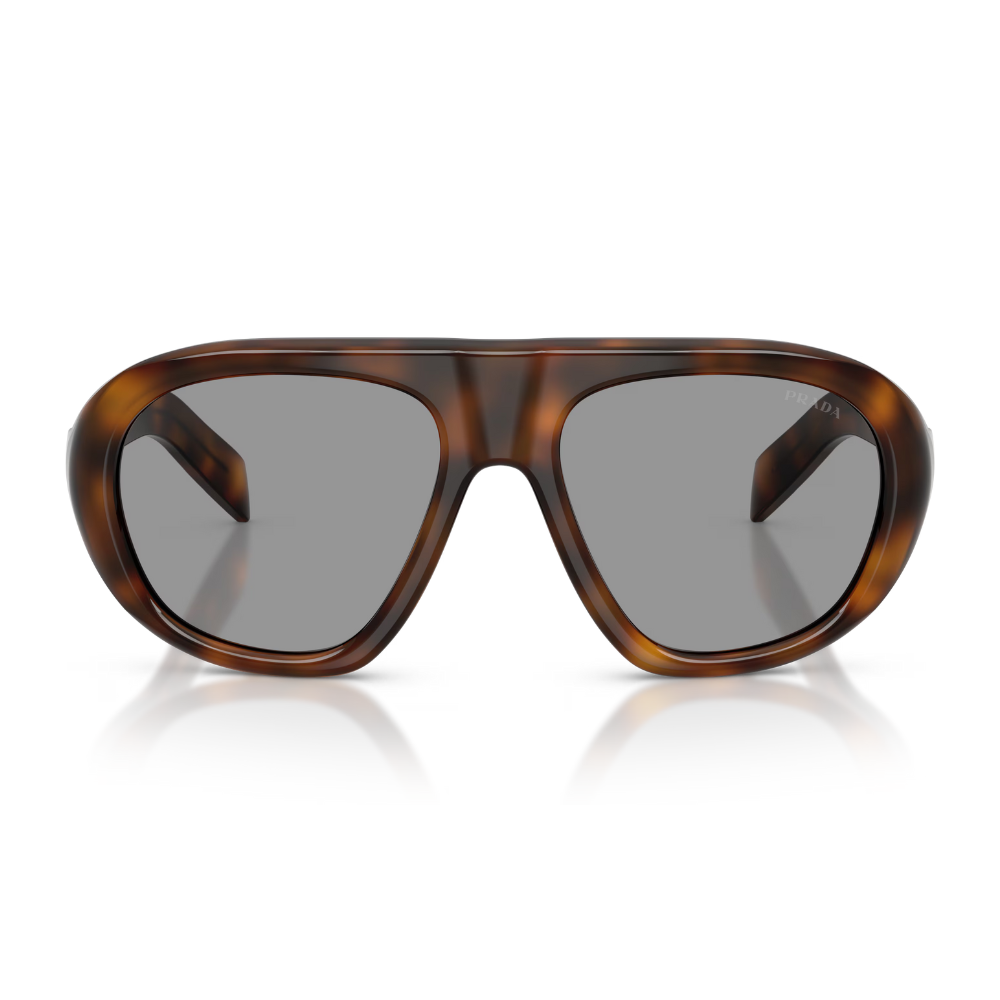 image_c46ad439-77d1-4c31-97f1-9d87fdfdd3fe