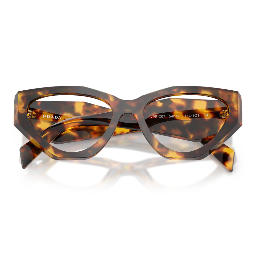 image_c1e5e589-2b8e-478d-b8ba-a1db9a69eb7f