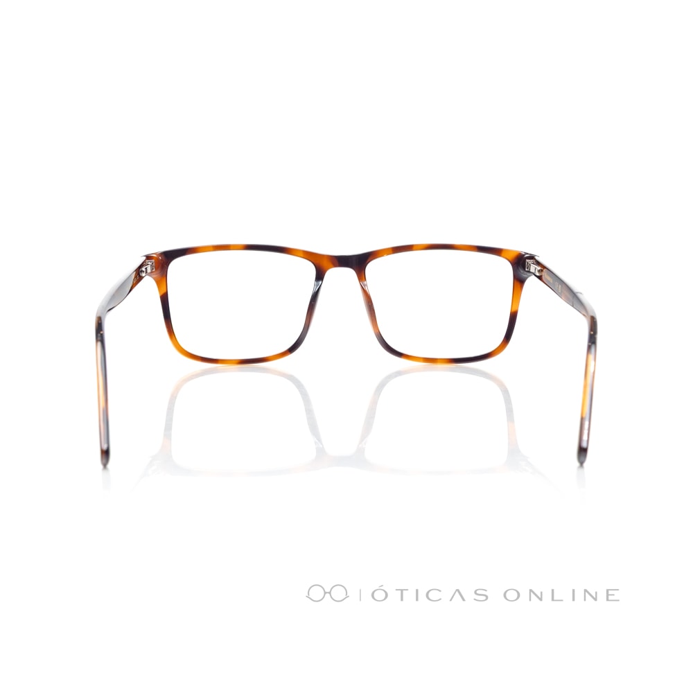 image_e618a085-afcc-4a9a-a221-6ef1fa051960