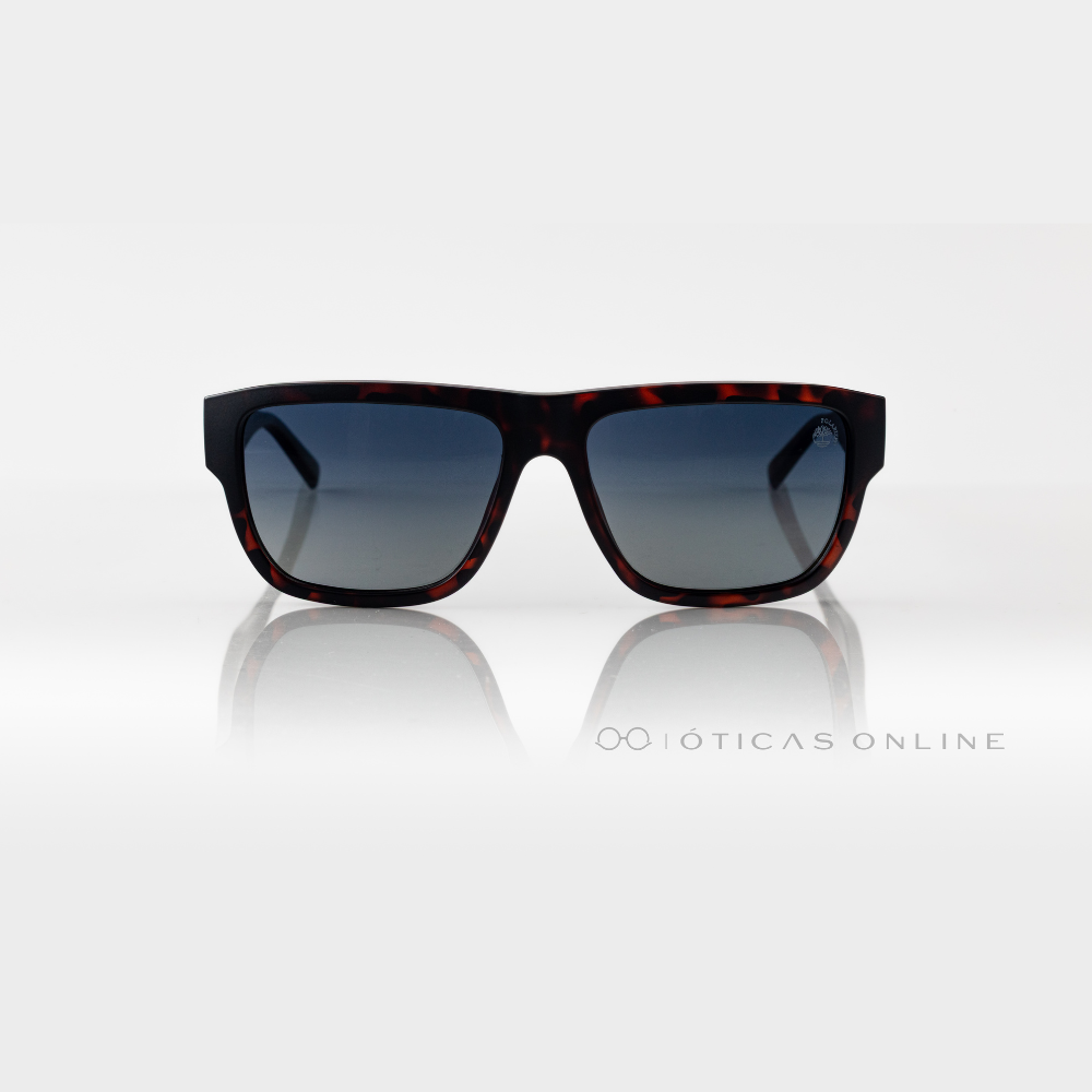 image_a08545f6-1be7-465f-8738-11c3a5046445