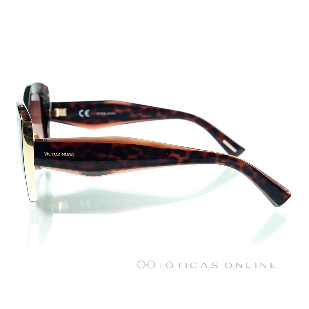 image_a5e26252-c811-48be-aaec-78d75ba0568c