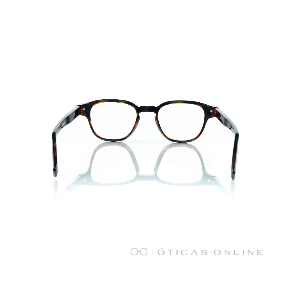 image_2a10d3a2-7b6f-4709-a6db-e2118f8b810c